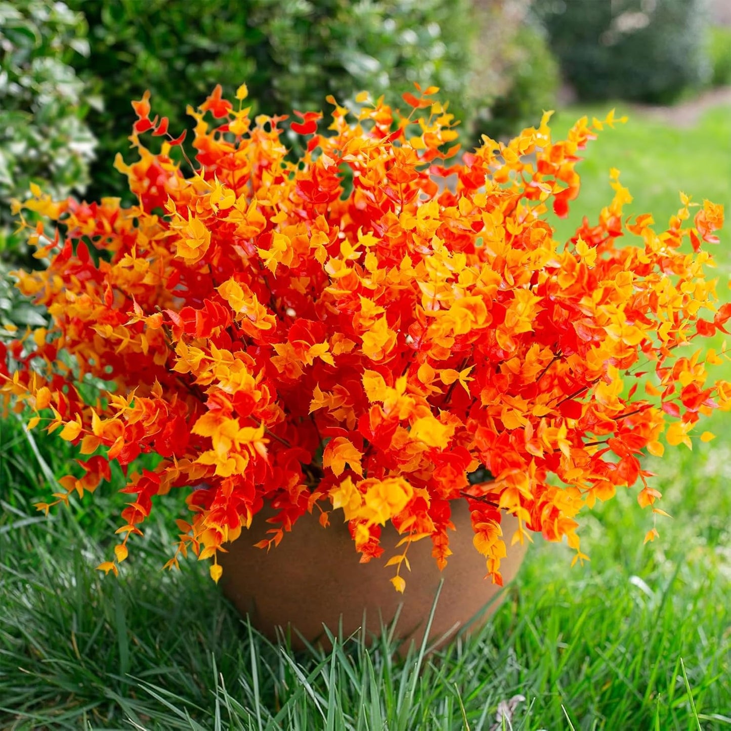 Potted plant with orange and yellow flowers on a grassy background