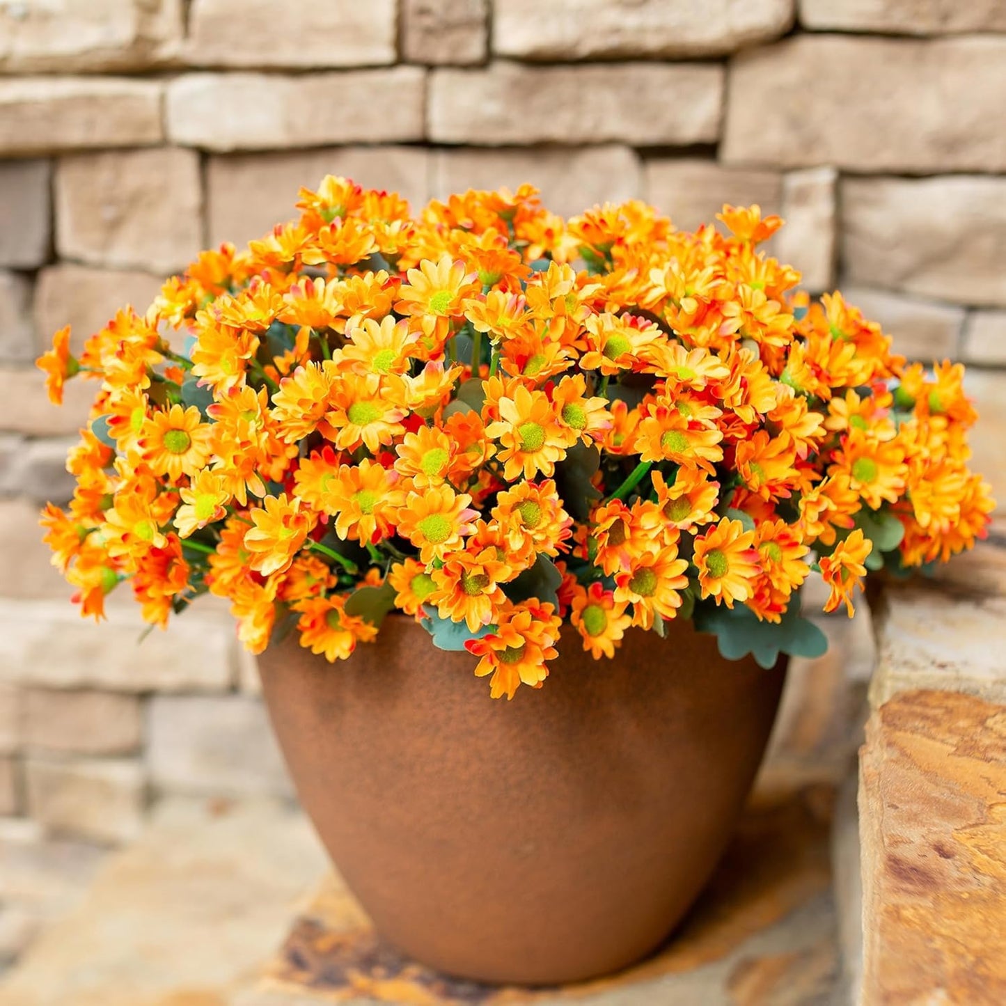 Potted plant with orange flowers against a stone wall background
