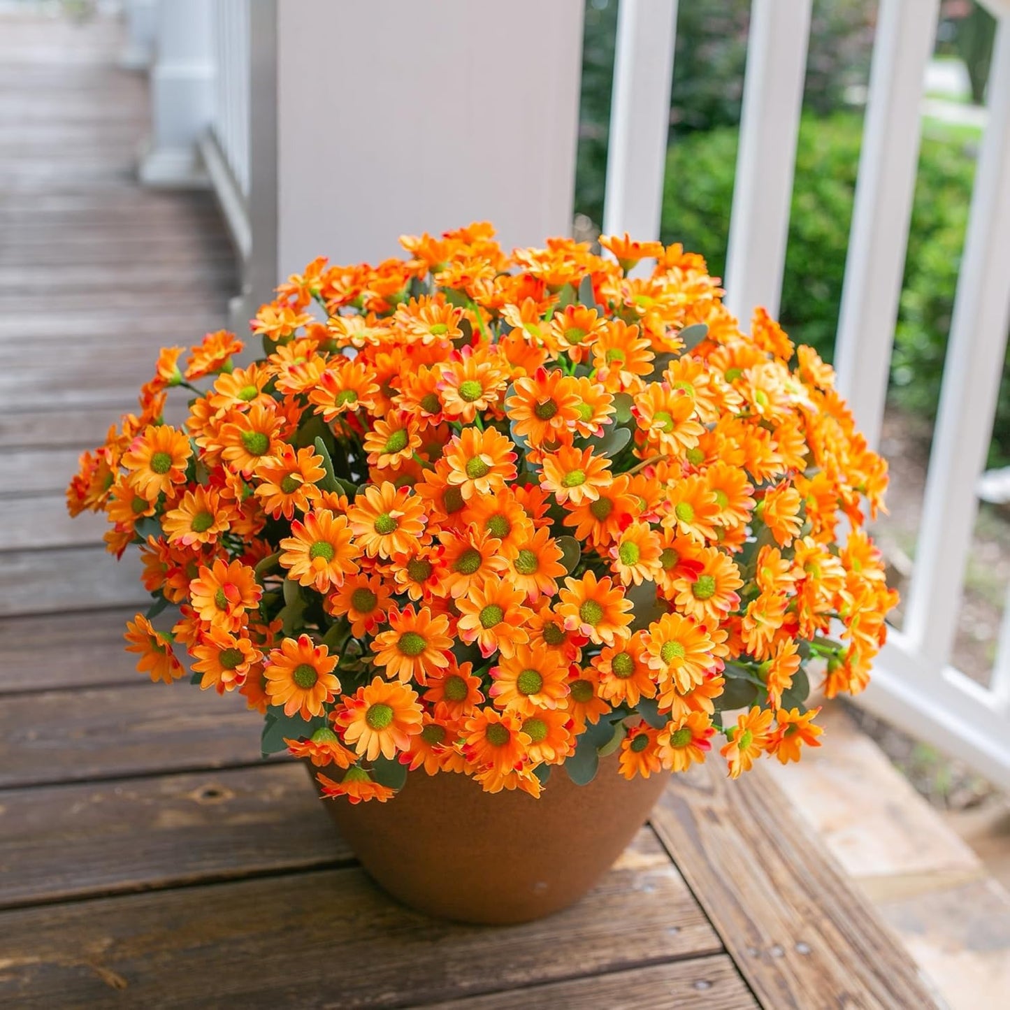Potted orange flowers on a wooden deck
