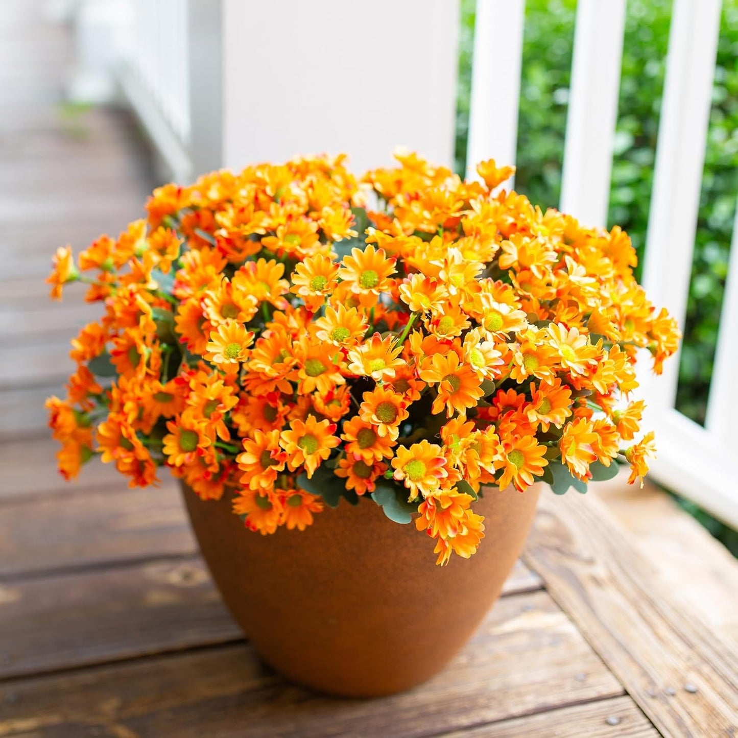 Potted plant with orange flowers on a wooden deck