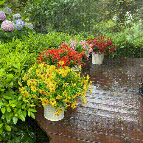 Last Day 50% OFF - UV Simulation Artificial Petunias