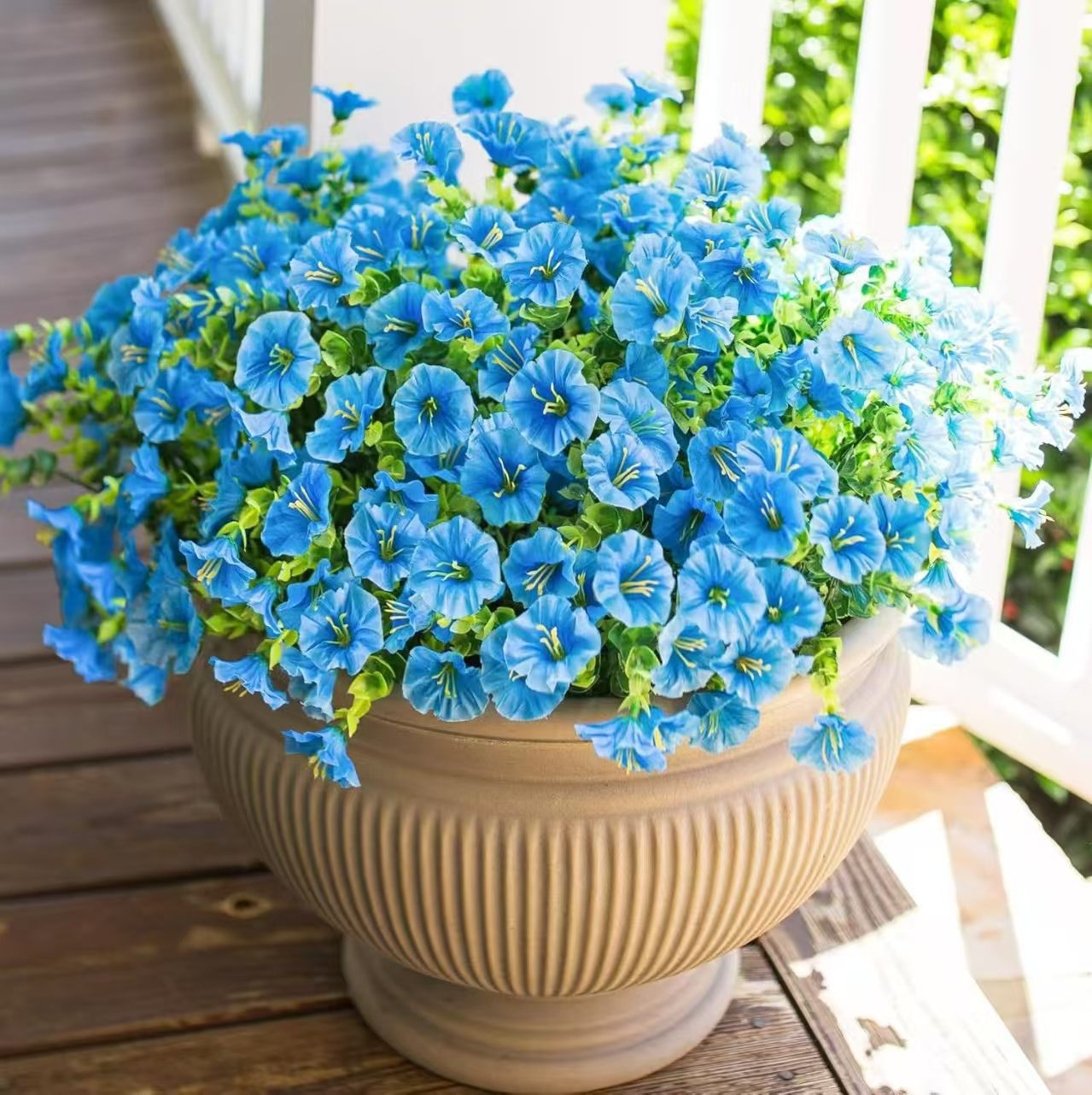 Fake Silk Colorful Morning Glory