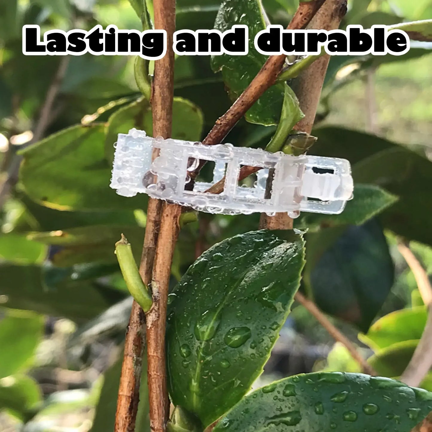 100 Counts Plant Support Clips, Upright Growth Support for Tomato & Grape Vines - White Plastic Trellis Clips for Vegetables