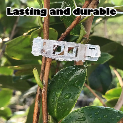 100 Counts Plant Support Clips, Upright Growth Support for Tomato & Grape Vines - White Plastic Trellis Clips for Vegetables