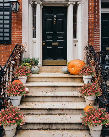 Decorative pumpkins and potted plants on a staircase leading to a black door.