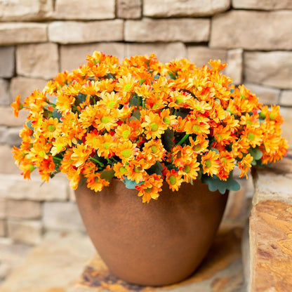 Potted plant with orange flowers against a stone wall background