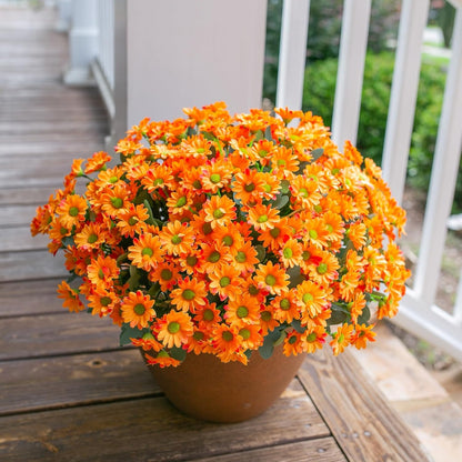 Potted orange flowers on a wooden deck