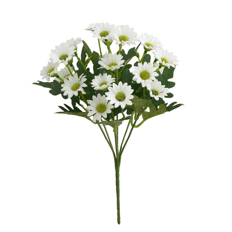 Bouquet of white flowers with green stems on a white background