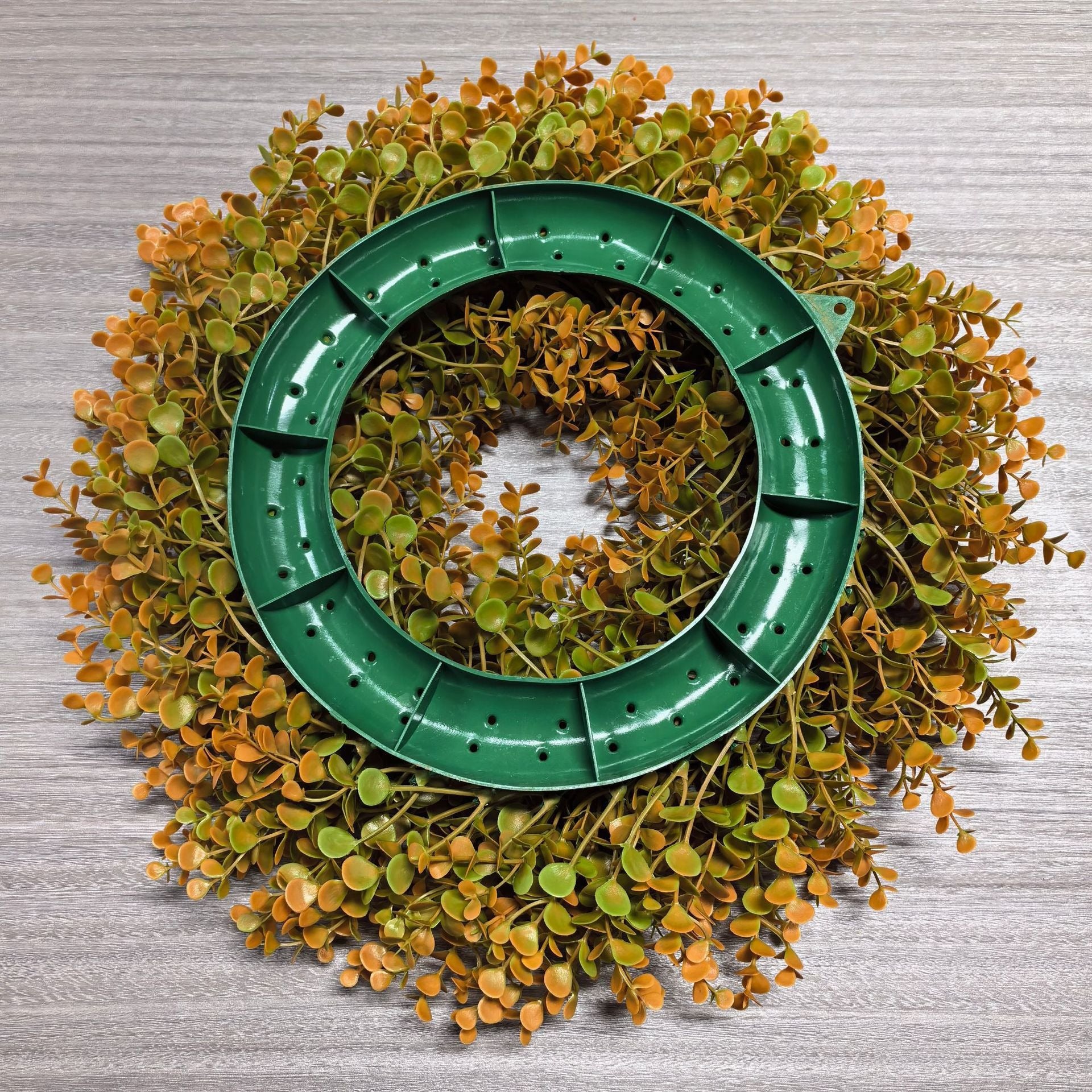 Green circular plant trellis on a wreath of artificial green and orange leaves on a wooden surface