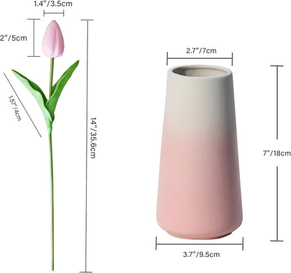 Pink vase with a tulip and measurements on a white background