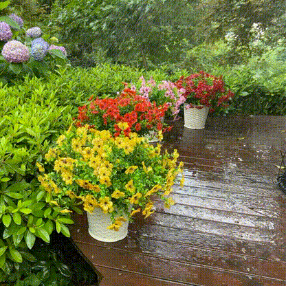 Last Day 50% OFF - UV Simulation Artificial Petunias